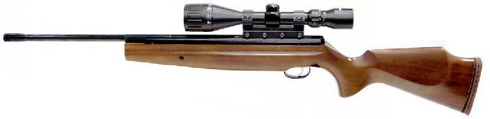 airgun_image